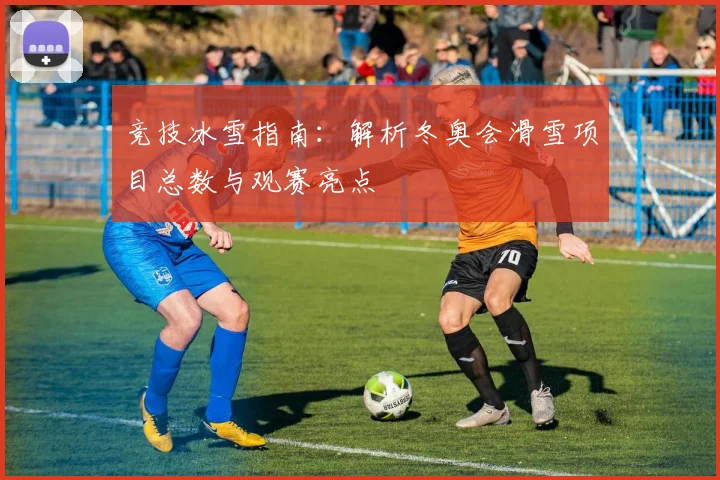 竞技冰雪指南:解析冬奥会滑雪项目总数与观赛亮点