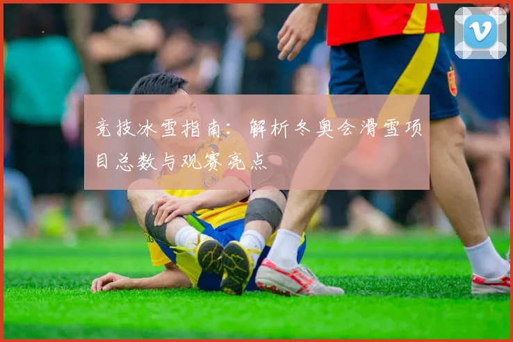 竞技冰雪指南：解析冬奥会滑雪项目总数与观赛亮点